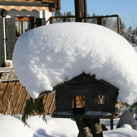 Haus Allgaeu Ruh 아파트 Görisried