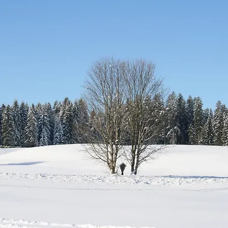 아파트 Haus Allgaeu Ruh *