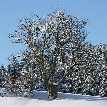 Haus Allgaeu Ruh * Görisried