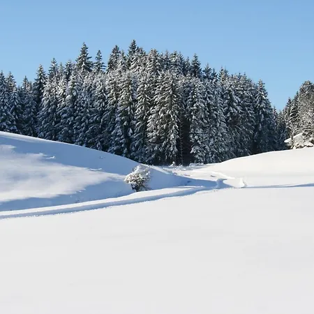 Haus Allgaeu Ruh 아파트 *