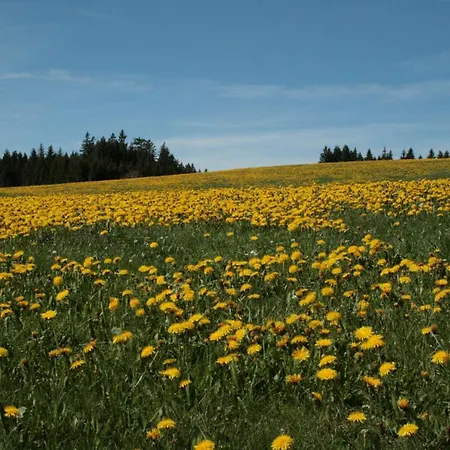 Haus Allgaeu Ruh 아파트 Görisried
